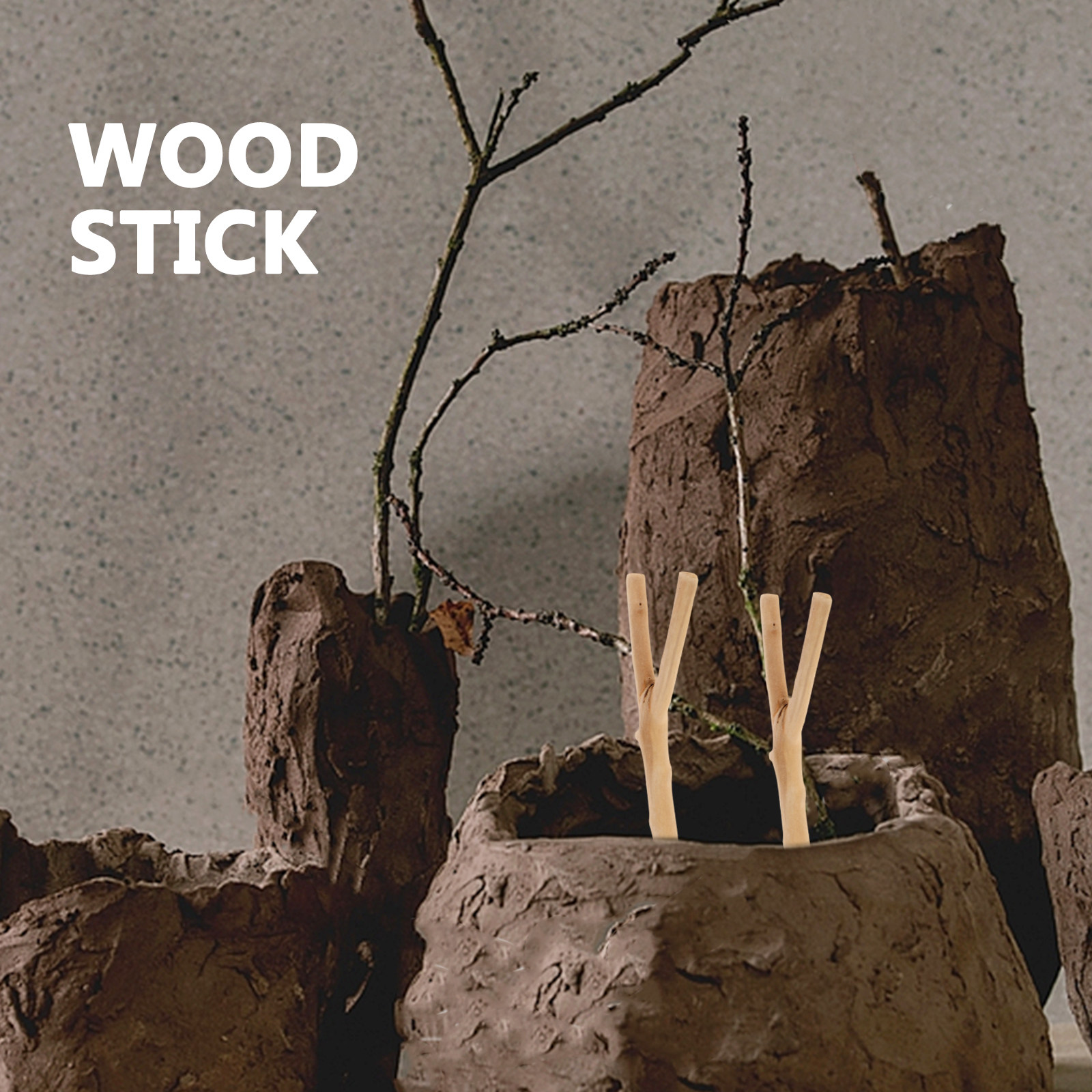 Handpolished Driftwood Branche - Centerpiece Stick review and price